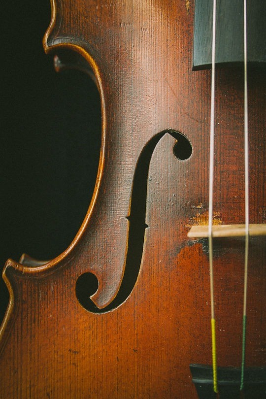 A close up of the side of an upright bass