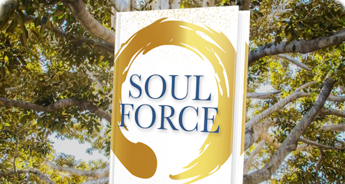 Book cover with the title Soul Force.